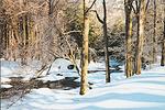 Sleeping Giant State Park