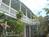 Coco Plum Inn Bed and Breakfast::BedAndBreakfast.com