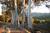 Ojai Retreat::BedAndBreakfast.com