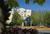 Sheraton Needham Hotel::ProfessionalTravelGuide.com