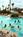 Sheraton National::Expedia