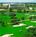 Inverrary Vacation Resort::Priceline.com