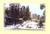 Pine Knot Guest Ranch::Pineknotguestranch.com