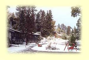 Pine Knot Guest Ranch::Pineknotguestranch.com