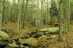 Tishomingo State Park::ReserveAmerica.com