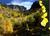 Super 8 Motel - Spearfish::ProfessionalTravelGuide.com