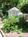 Bradley House::BedAndBreakfast.com