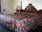 Tn-07130_b7