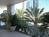 JW Marriott Hotel Miami from VirtualTourist