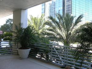 Web-1433438-marriott_jw_miami-miami