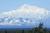 Talkeetna Alaskan Lodge::TripAdvisor