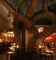 Magnolia Lounge Restaurant