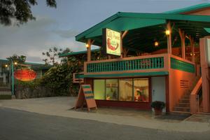 Lazy Parrot Inn::Lazy Parrot Inn