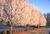 Best Western Fairwinds Inn & Suites from Orbitz