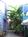 Creole Gardens Guesthouse B%B::TripAdvisor