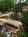 El Monte Sagrado Living Resort::Travelocity.com