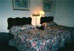 Knights Inn