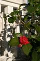 Washington Plantation Bed and Breakfast