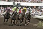 Canterbury Park