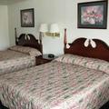 Tn-t33899_room_02_f