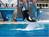 SeaWorld Adventure Park, San Diego::ThemeParkInsider