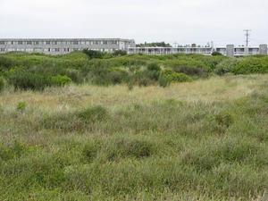 The Sands Resort::TripAdvisor