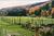 Johnnycake Flats::BedAndBreakfast.com