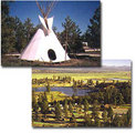 Tn-camping2