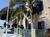 Econo Lodge Inglewood::Priceline.com