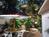 El Canario by the Lagoon::ProfessionalTravelGuide.com