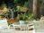 Black Forest B&B and Luxury Cabins::BedAndBreakfast.com