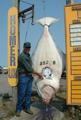 HOMER JACKPOT HALIBUT DERBY
