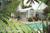Eden House::BedAndBreakfast.com