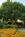 The Beechmont Inn::BedAndBreakfast.com