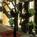 Lafayette Hotel::Yahoo! Travel
