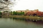 Hampton Inn and Suites Stamford
