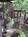 The Abbey Resort and Spa::tripadvisor
