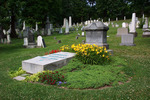 Tn-dcp_3458