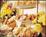 Lees Inn And Suites Plainfield::Expedia