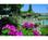 Red Lion Inn Klamath Falls::Epinions.com