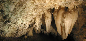 Timpanogos Cave National Monument::Nps.gov