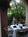 Tahitian Inn and Spa from Orbitz