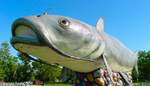 Tn-wahpetoncatfishpano2