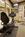 Holiday Inn Presidential -- Downtown Little Rock::Orbitz