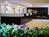 Comfort Inn Conference Center::Priceline.com