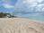 Driftwood On The Ocean::TripAdvisor