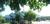 The Cove Of Lake Geneva::Travelocity