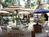 Lighthouse Resort Inn and Suites::Hotels.com