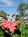 Arizona Biltmore Spa::Expedia