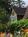 Annabelle's Bed and Breakfast::BedAndBreakfast.com